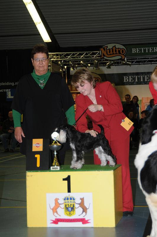 kerstshow 2008 002.jpg
